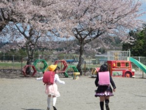 sakura